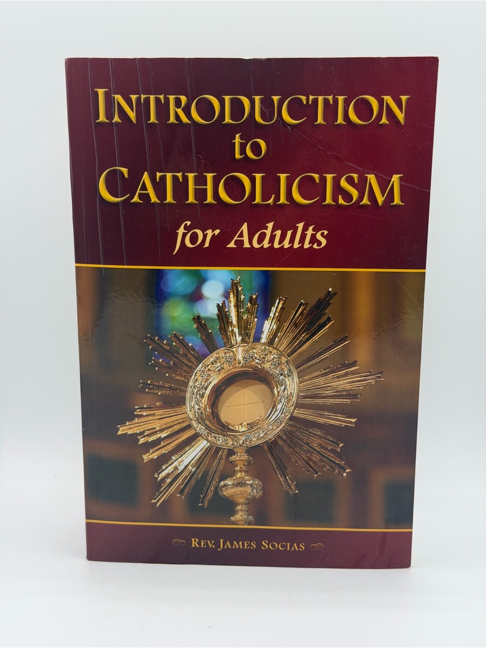 Introduction to Catholicism for Adults by Rev. James Socias Paperback Book 2012